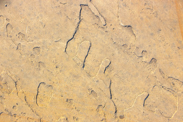 Stone background texture background natural stone close-up