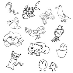 simple hand draw sketch bird, fish chicken, cat, egg, butterfly, worm, snake, rooster