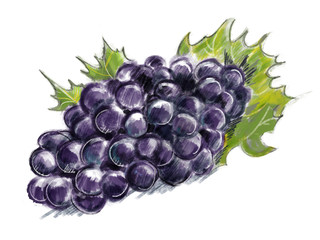 Uvas