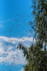 drops of a fountain against the sky