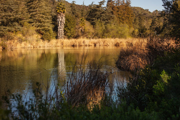 Peaceful Franklin Canyon hike in Beverly Hills, California. The park comprises 605 acres, and is located at the purported geographical center of the city of Los Angeles.