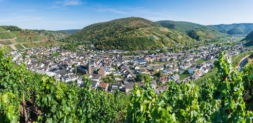 Winzerdorf Dernau an der Ahr; Rheinland-Pfalz; Deutschland