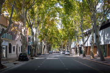 Fototapeta na wymiar Street in downtown Mendoza - Mendoza, Argentina