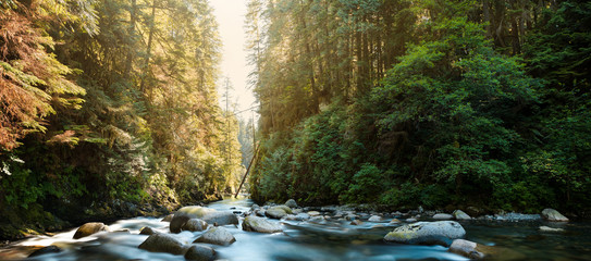 The river at Lynn Canyon in North Vancouver. - obrazy, fototapety, plakaty