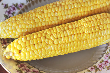 Corn on a plate