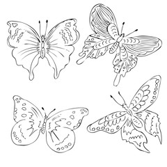 hand draw sketch four different wing motif butterfly
