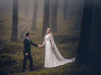 Lovely couple of newlyweds - bride and groom at beautiful mystery forest with amazing autumn fog.