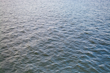 White seagull flying low over steel blue gray water