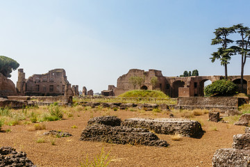 Ruins in the Roman Forum in Rome, Italy