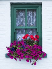 Fototapeta na wymiar colouful flower box on window of old vintage irish cottage