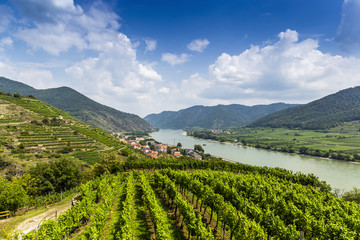 Spitz, Austria, View to Danube river from ruins of Hinterhaus castle.