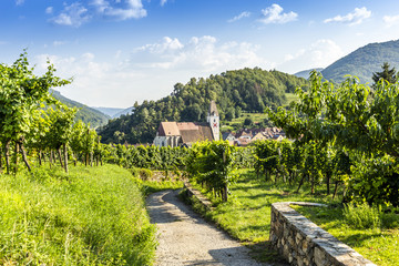Fototapeta na wymiar Spitz, Austria, View to old church from green vineyards.