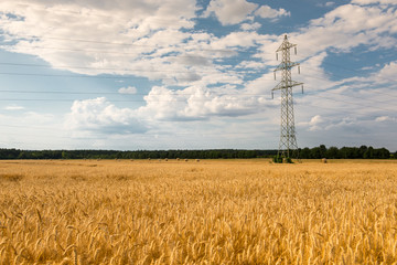 crop field with dramatic sky and a electicity pylon