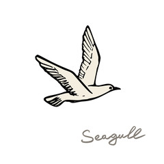 seagull in the sky vector illustration