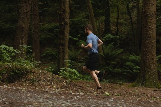 Man jogging at forest footpath