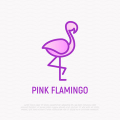Fototapeta premium Pink flamingo thin line icon. Modern vector illustration for logo.