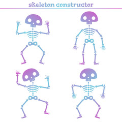 Fototapeta na wymiar Cute rainbow human skeleton constructor for creating different poses.