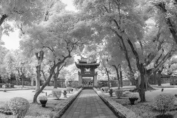 walk way from main entrance of temple of literature take with near infrared camera(this place is public place to visit)