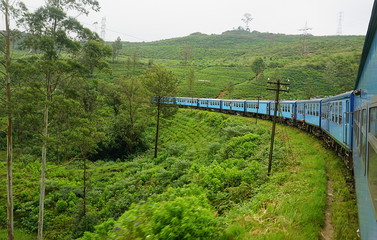 Train ride from Nanuoya to Ella, Sri Lanka © bibap