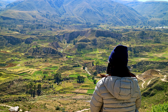 One Female Tourist Looking at Agricultural Terraces in Colca Canyon, Arequipa Region, Peru