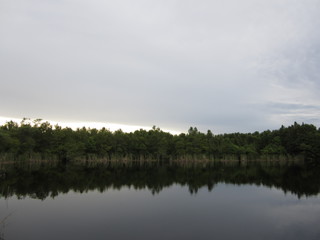 Obraz na płótnie Canvas Swamp lake with still water and evening sky
