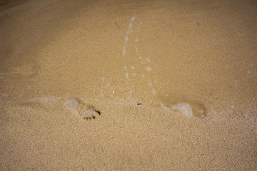 Footprints on brown sand at tropical beach