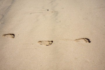 Footprints on brown sand at tropical beach