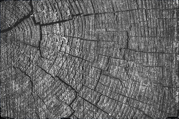 Fototapeta premium wooden background. Old vintage planked wood. Free text space.