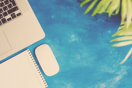 laptop, top view background, flower leaves in pot, cactus, on blue background