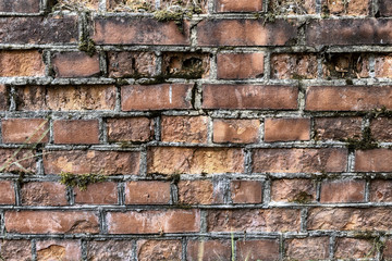 broken brick wall background in sunny summer day. Abstract red brick old wall texture background. Ruins uneven crumbling red brick wall