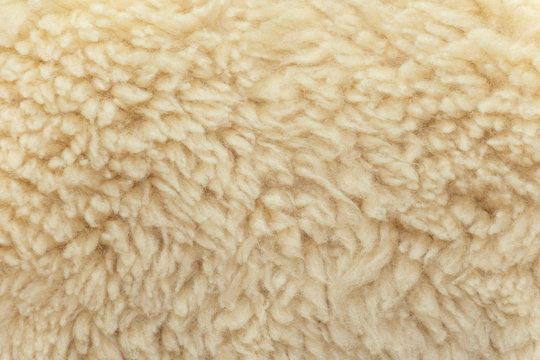 Fine stuff soft material from sheep fur
