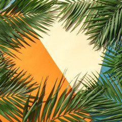 Frame of tropical leaves palms on multicolor background a space for text. Top view, flat lay