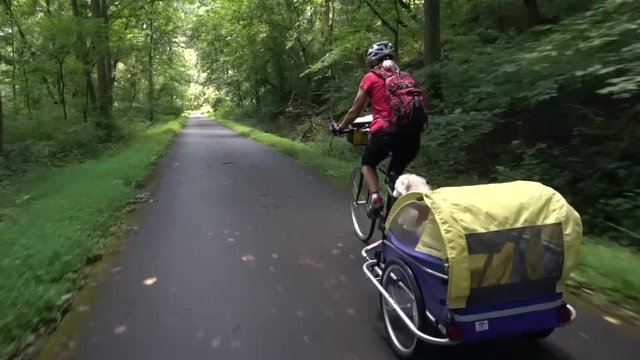 Closeup Of Trailer With A Dog In It Being Pulled By An Elderly Woman On A Bicycle.