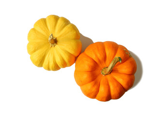 Top View of a Pair of Vibrant Color Ripe Pumpkins with Stem Isolated on White Background 