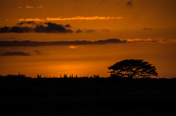 Fototapeta premium hawaii sunset
