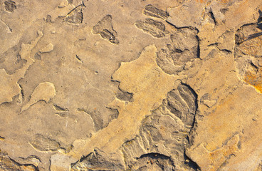 Stone background texture background natural stone close-up