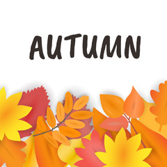 Paper cut autumn leaves vector on white background