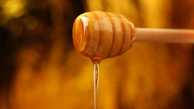 Footage organic honey dripping from wooden honey spoon background
