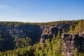 Sandsteinfelsen mit Bäumen und Wald