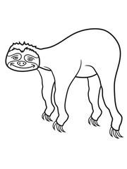 faultier entspannen müde chillen hängen schlafen faul gemütlich langsam lahm tier süß niedlich comic cartoon clipart