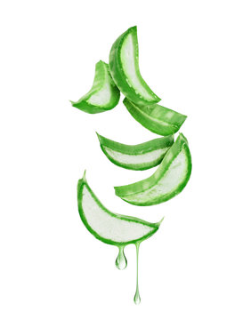 Thinly sliced stem of aloe vera with drops of juice