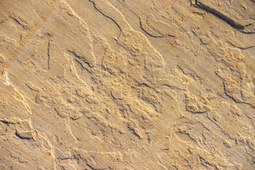 Stone background texture background natural stone close-up