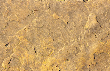 Stone background texture background natural stone close-up