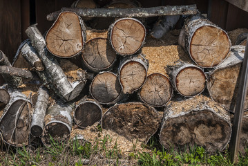 logs and firewood lie on the grass