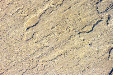 Stone background texture background natural stone close-up