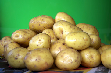 A pile of harvested potatoes of a new crop on a green background.