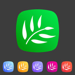 eucalyptus beauty osmetics oil icon flat web sign symbol logo label