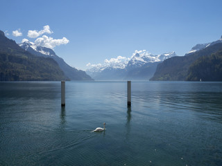 Lac des Quatre-Cantons en Suisse.  Le bourg de Brunnen appelé la perle du lac des Quatre-Cantons © Marc