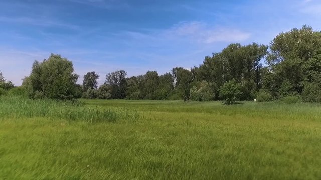 meadow with a small house