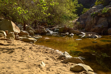 Creek at California forest reserve